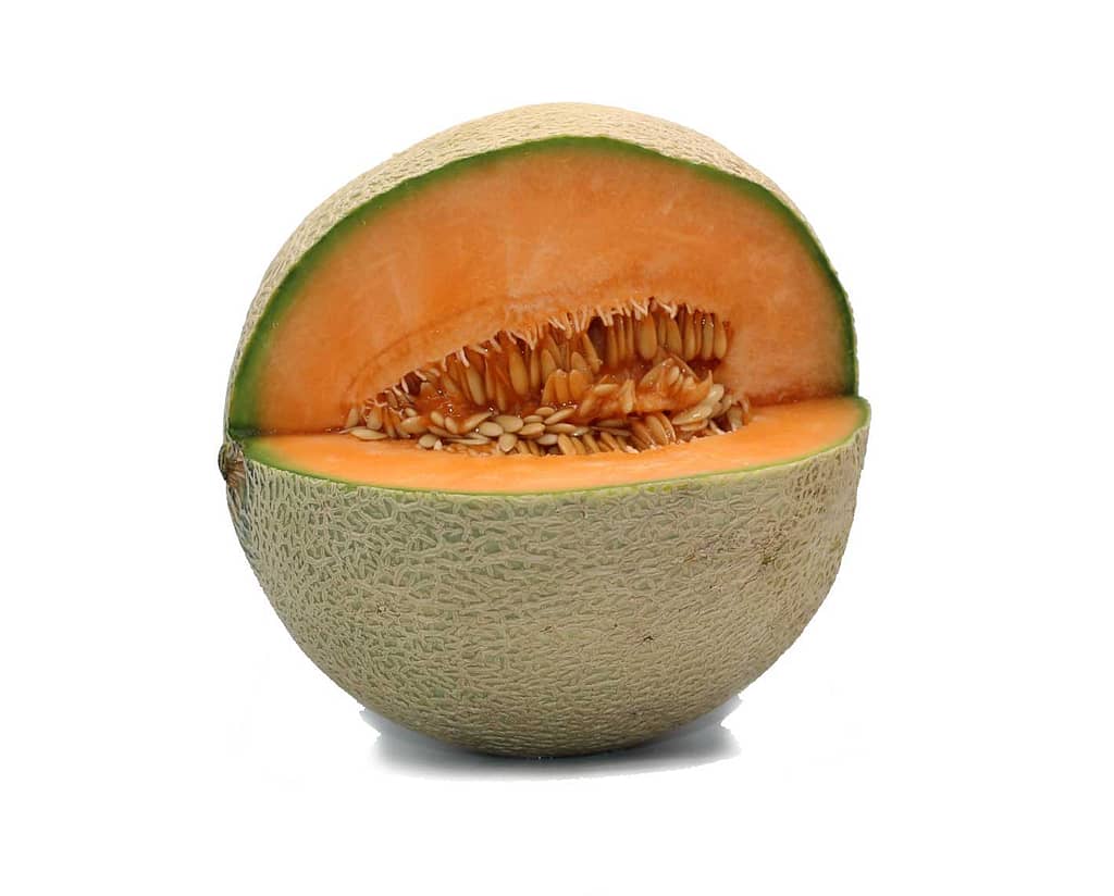 Melón y sus beneficios en la salud 3 Frutas, Verduras y sus propiedades melón Frutas