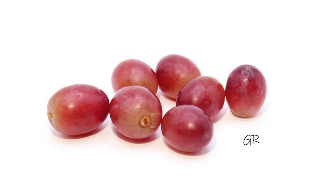 Frutas fuente de vitaminas. 6 Frutas, Verduras y sus propiedades Uvas sin semilla