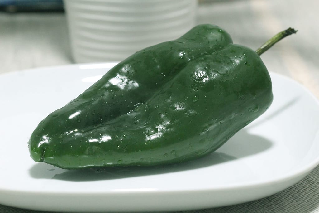 Vegetales 6 Frutas, Verduras y sus propiedades Chile Poblano